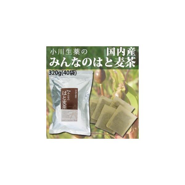 Y ݂Ȃ ͂Ɣ i͂Ƃނj 8g×40 쐶