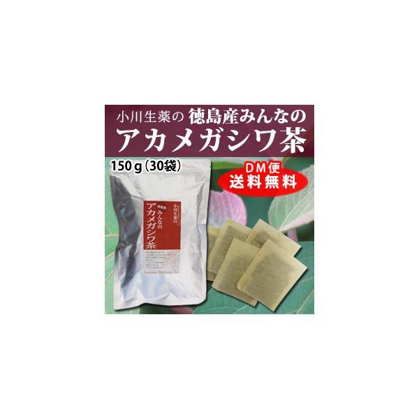 AJKV Y mJtFC N eB[obO  100Nȏ㑱  쐶