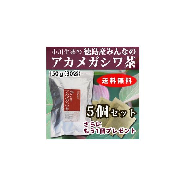 y܂ƂߔłɑeʁzAJKV Y mJtFC N eB[obO  100Nȏ㑱  쐶 5+1Zbg