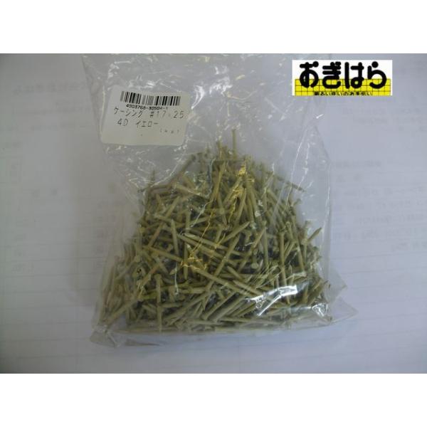 WAKAI@0600040@pJ[B@vglCP[VO@1725@CG[@4-D@200