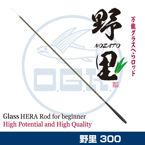 (OGK) �엢 300 (NOZ30)