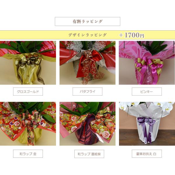 葬式３本立ち法事大輪本立ち１回忌生花オープンお悔や花大輪葬儀大輪白献花お供え Lf 09 花広場白胡蝶蘭内祝い仏事会社設立スタンド