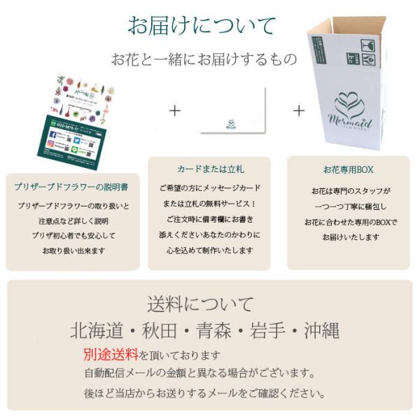 青森 お悔やみ 東北地方 青森県 岩手県 宮城県 秋田県 山形県 福島県のお悔やみ訃報情報 Cocodama ココダマ Luismiguel Pt