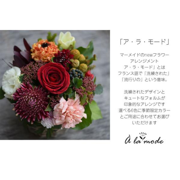 花 ギフト フラワー プレゼント ギフト ア ラ モード 結婚祝い 送別 定年 退職 アレンジメント 女性 送料無料 卒業 送別 退職 母の日 Buyee Buyee 日本の通販商品 オークションの代理入札 代理購入