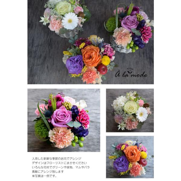 花 ギフト フラワー プレゼント ギフト ア ラ モード 結婚祝い 送別 定年 退職 アレンジメント 女性 送料無料 卒業 送別 退職 母の日 Buyee Buyee 日本の通販商品 オークションの代理入札 代理購入
