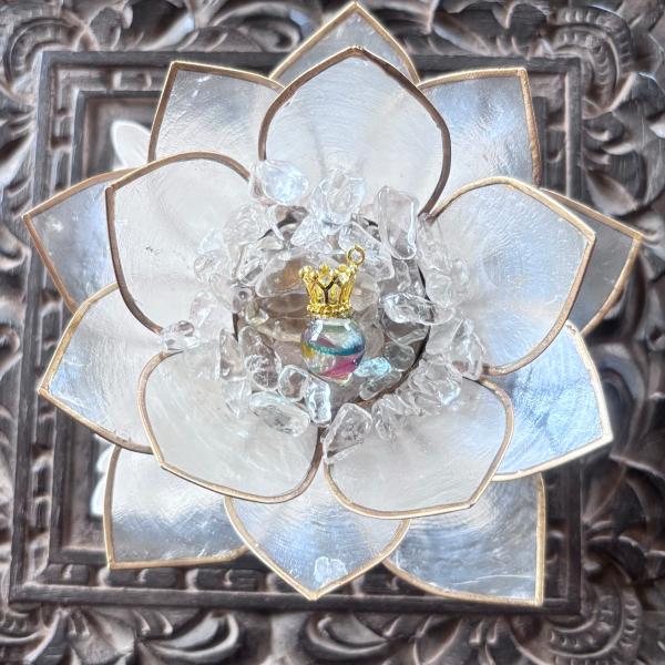 ��Ղ� ���艖 ���_�̂��� ���� �`���[�� 1�� ���������� 1�N �����s�v �q�}�������� �������  �v���[���g ���f�B�[�X �����Y ���� �g�C�� �a���� ���i�摜4