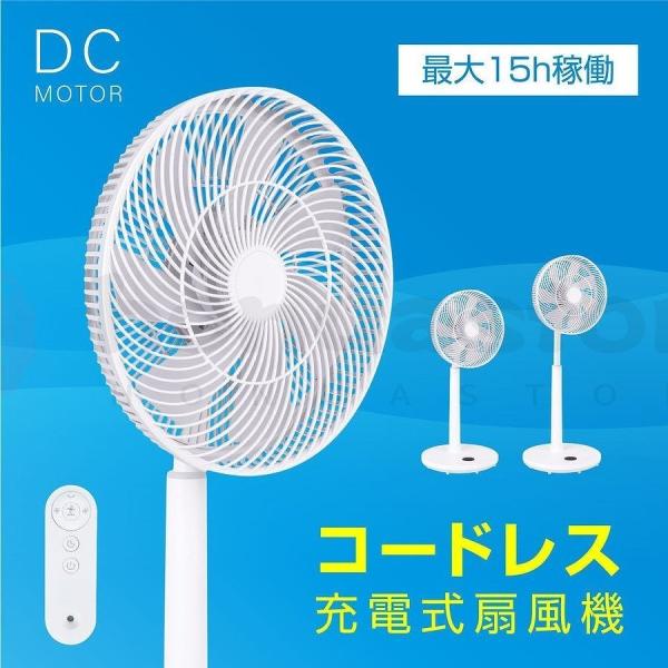 2024NVirO@ 12iKʒ R DC[^[ U É DCt@ pt 