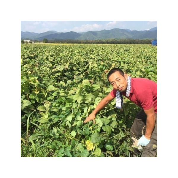 Og哤}iRӂΔ_ĵ1kgyOgRsF̔Xz