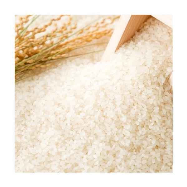 新米】丹波たぶち農場コシヒカリ（特別栽培米）10kg令和6年産 : 西田