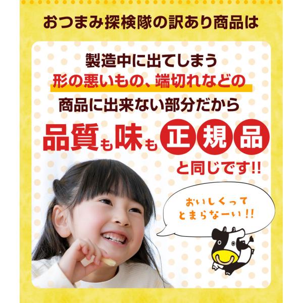 珍味 訳ありチーズシリーズ 送料無料 最大1kg 訳あり 酒のつまみ おつまみ お菓子 おかし チーズ ちーず Buyee Buyee Japanese Proxy Service Buy From Japan Bot Online