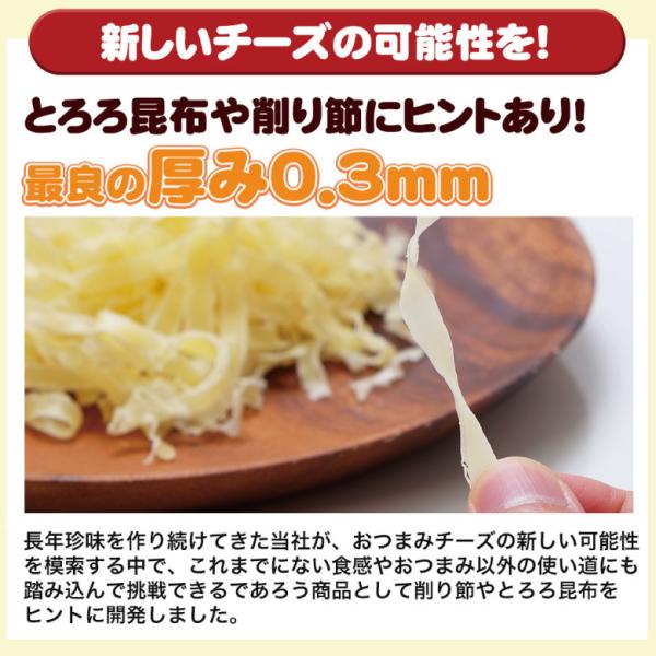珍味 ふんわり削りチーズ 25g 5袋 送料無料 おやつ お菓子 酒のつまみ おつまみ チーズ 小分け メール便 Buyee Buyee Japanese Proxy Service Buy From Japan Bot Online