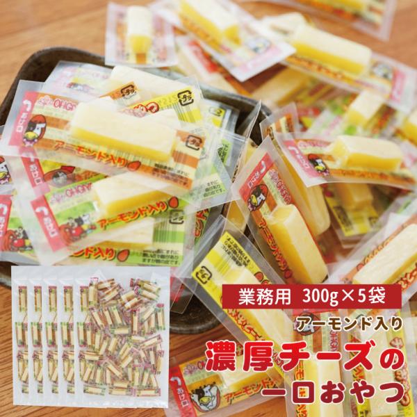   `[YA[h 300g×5 َq   ̍ ܂ `[Y [ A[h ʉَq ݑ e Ɩp