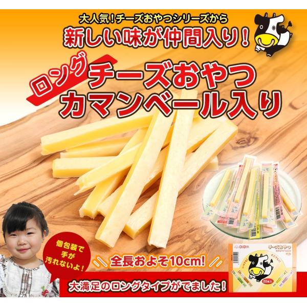 珍味 チーズおやつロング 送料無料 40本入り おやつ お菓子 チーズ ちーず カマンベール メール便 Buyee 日本代购平台 产品购物网站大全 Buyee一站式代购 Bot Online