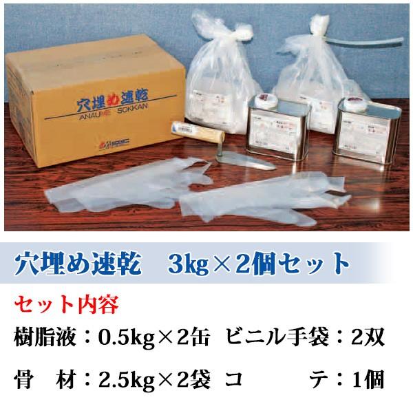 穴埋め速乾 3kg×2個セット (コンクリート補修用樹脂モルタル) : 大橋