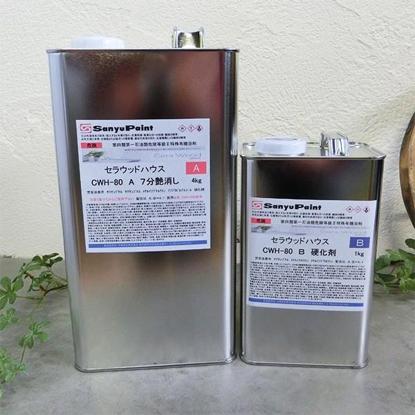 CWH-80 ZEbhnEX(h) 5kgZbg(At4kgEBt1kg) 