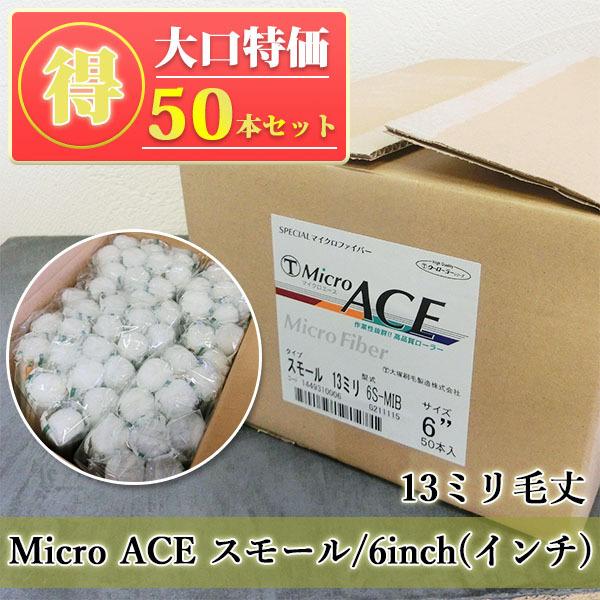 Micro ACE(}CNG[X) X[[[ 13~я/6inch(C`) 50{ 