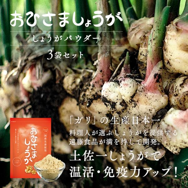 しょうがパウダー 3袋セット おひさましょうが 国産 高知県産 生姜パウダー 無添加 オーガニック 生姜 ショウガ 生姜粉末 乾燥生姜 25g