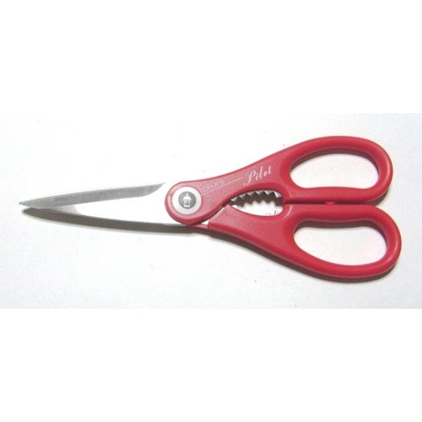 䓁iSakai-Tohji nT~20cmԕ gnfBŎgՂADꂽfUCh