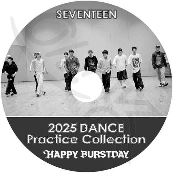 SEVENTEEN セブチ DVD 開封済み K-POP DVD Seventeen PROJECT EP1-EP7完 SET 2枚 日本語字幕あり