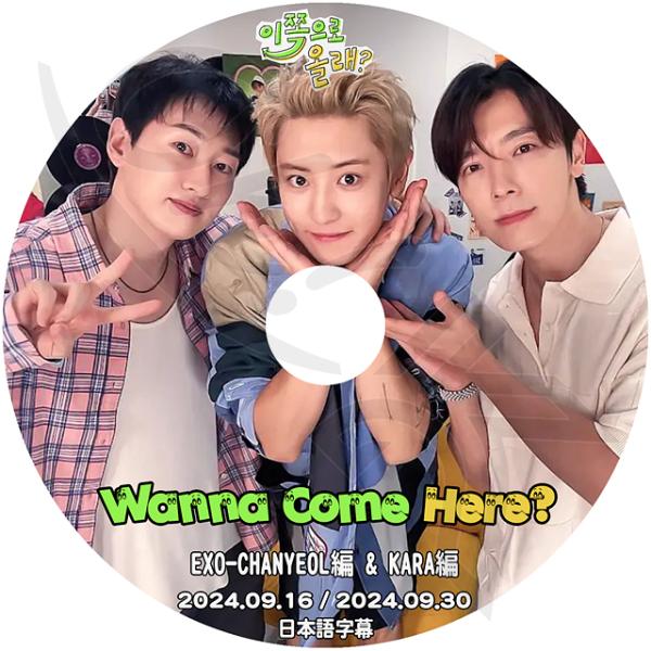 Super Junior ＣＤ DVDまとめ売り 韓国版あり super junior CDまとめ売り - メルカリ
