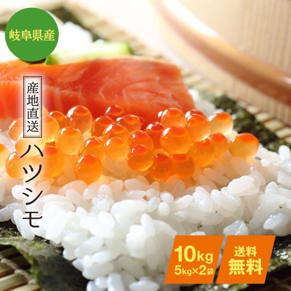 ハツシモ お米 米 10kg 白米 玄米 無洗米 3分 5分 精米オーダー ハツシモ お米 米 10kg 白米 玄米 無洗米 3分 5分 精米オーダー