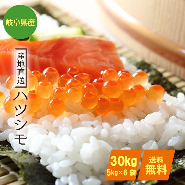 ohnoshokuryou-shop_gihuhatusimo-30 ohnoshokuryou-shop_gihuhatusimo-30