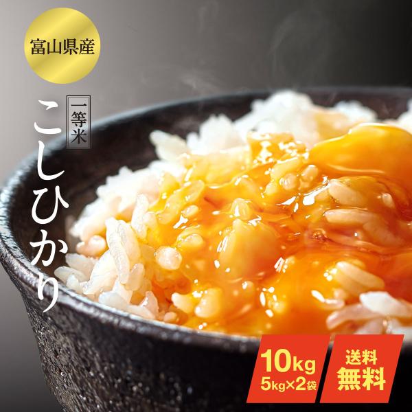 コシヒカリ お米 10kg 令和5年産 富山県産 1等米 こしひかり コシヒカリ お米 10kg 令和5年産 富山県産 1等米 こしひかり