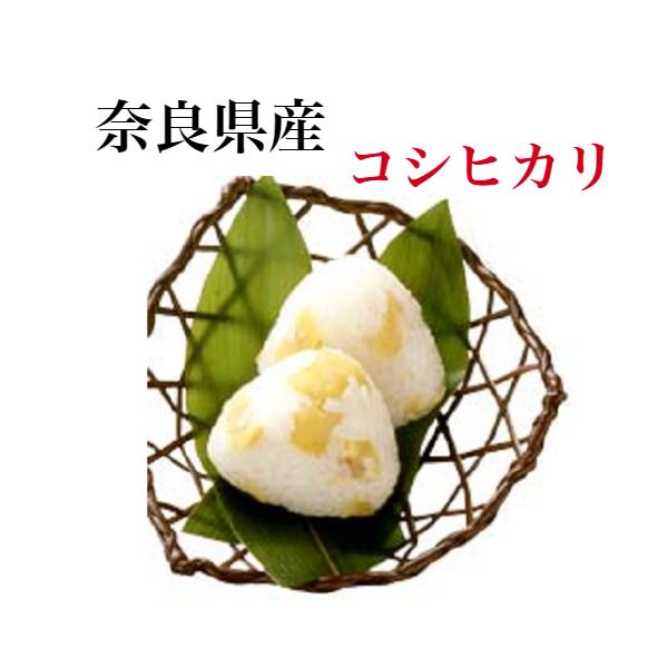 コシヒカリ 新米コシヒカリ令和7年産 奈良県産コシヒカリ 20kg 玄米