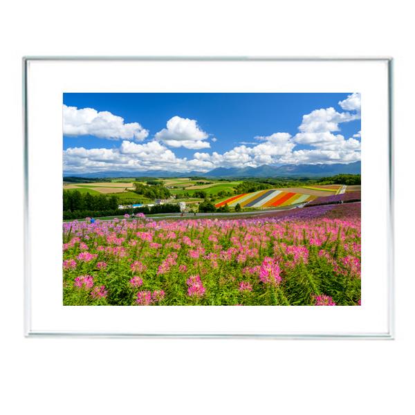 l@13@ʐ^tHgt[@Ch4؁@kCl@ē b