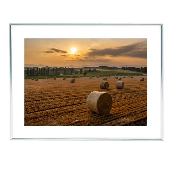 l@6@ʐ^tHgt[@Ch4؁@kCl@ē b