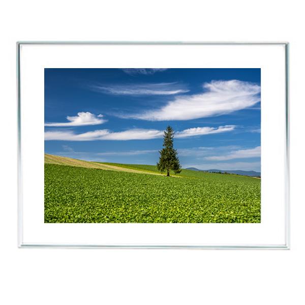 l@7@ʐ^tHgt[@Ch4؁@kCl@ē b