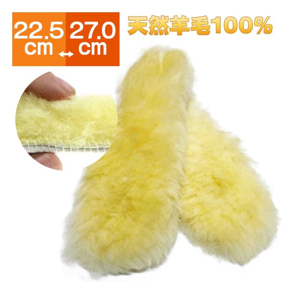 OHP RR[gC\[ r100 22.5cm-27.0cm E[ V[vXL  RR ӂӂ C\[ [g