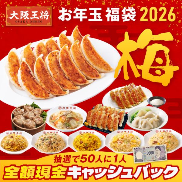 人気中華食べ尽くし福袋餃子 大阪王将 餃子 取り寄せ 冷凍餃子 お取り寄せグルメ チャーハン 冷凍チャーハン 中華 冷凍食品 王将 点心セット 食品 点心 ジャンボ餃子 ぎょうざ 焼売【商品内容】・こだわり餃子12個276g×1袋・鶏しそ餃...