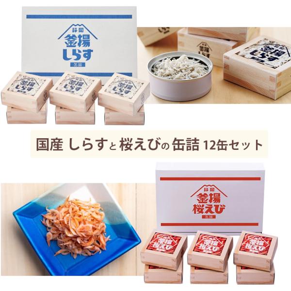 桜えび しらす 缶詰 山梨罐詰 静岡 釜揚げ 40g×6個セット×2箱 駿河湾 ご当地缶