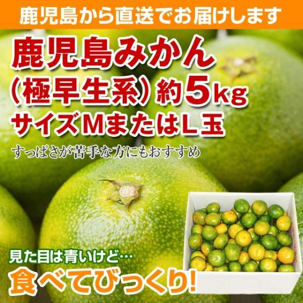 ݂iɑnjTCYl܂͂kʁ@5K