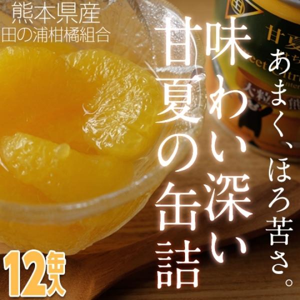 甘夏 缶の人気商品・通販・価格比較 - 価格.com 甘夏 缶の人気商品・通販・価格比較 - 価格.com