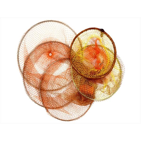 ヘラブナ　ビク　まんりき ヘラブナ ビク まんりき