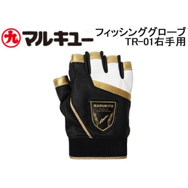 }L[@tBbVOO[uTR-01(ܖ{؂@Ep)