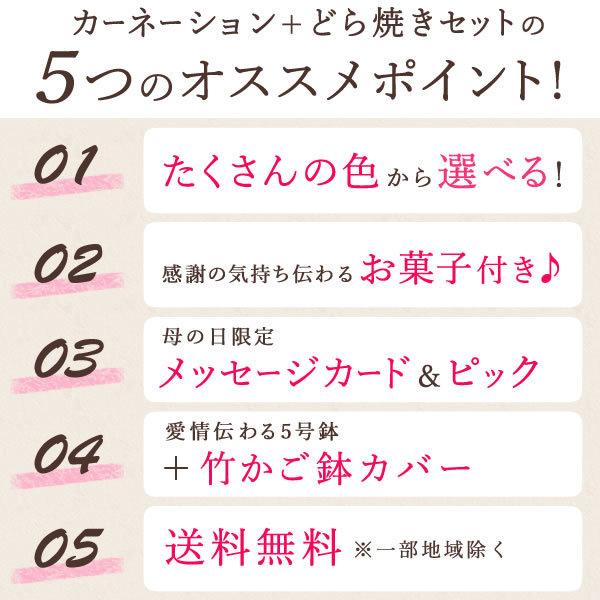 母の日 21 プレゼント ギフト 花 母の日 ギフト プレゼント カーネーション 鉢植え 花鉢 お菓子 スイーツ ギフトランキング 5号鉢 Buyee Buyee Japanese Proxy Service Buy From Japan Bot Online