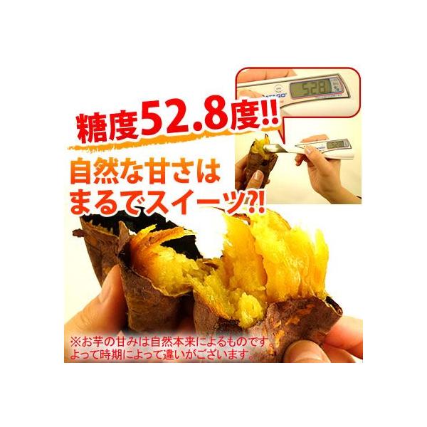 焼き芋 秋の味覚 人気の紅はるか 焼きいも 1kg さつまいも スイ ーツ 和菓子 550263花とスイーツ
