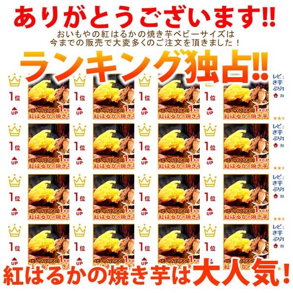 焼き芋 秋の味覚 人気の紅はるか 焼きいも 1kg さつまいも スイ ーツ 和菓子 550263花とスイーツ