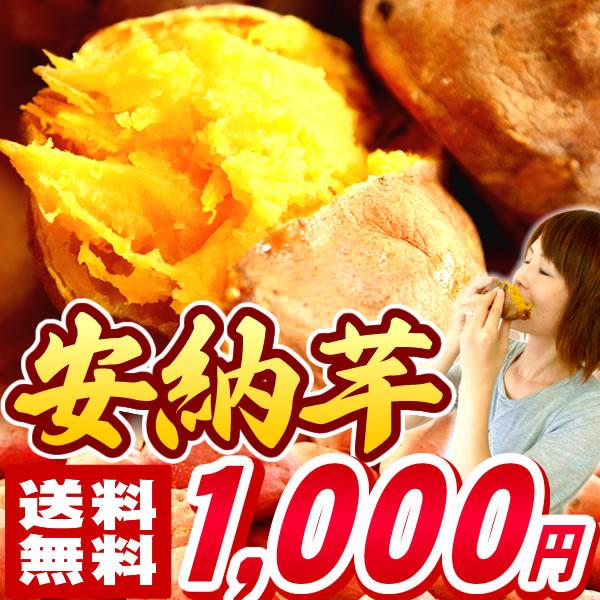 安納芋 さつまいも 特典付き 国産サツマイモのセット 種子島産