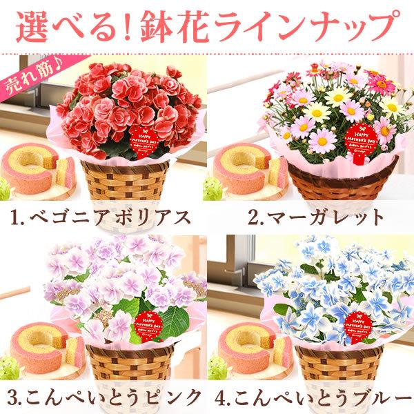 母の日 21 プレゼント 花 ギフト 花とスイーツ ギフトランキング 紫陽花 アジサイ バラ 鉢植え お菓子 Flower Dset Buyee Buyee 日本の通販商品 オークションの代理入札 代理購入