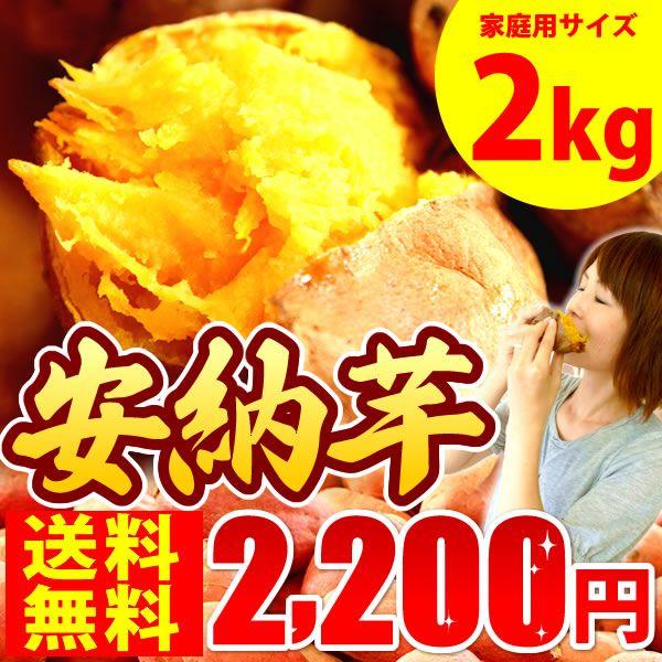 安納芋 さつまいも 種子島産 国産サツマイモ 2kg