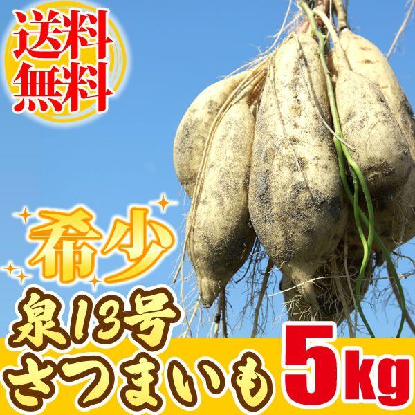 泉13号さつまいも 国産（静岡） サツマイモ 5kg