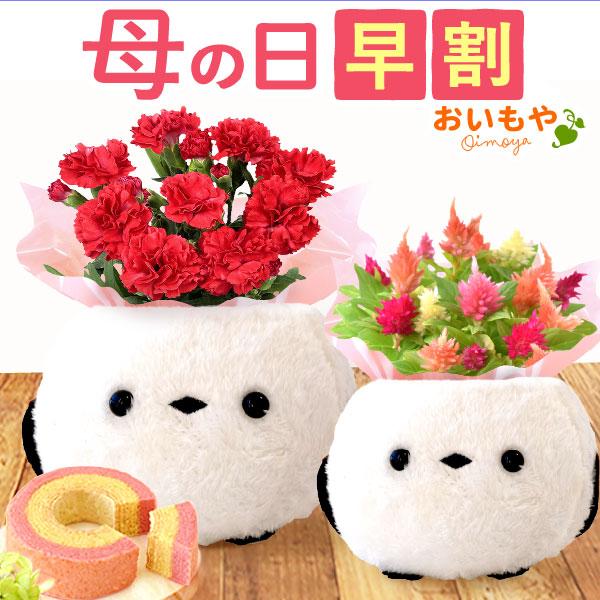【おすすめ用途】母の日 母の日ギフト 2026 母の日プレゼント 贈り物 mothersday 母の日プレゼント スイーツ カーネーション 鉢植え お菓子 食べ物 フラワー 花鉢 花 ギフト 和菓子 洋菓子【贈る相手】 女性 お母さん 母 ...