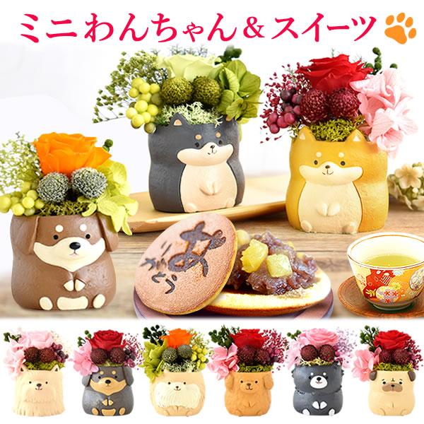 【おすすめ用途】誕生日 プレゼント バースデー ギフト プチギフト 贈り物 贈答 手土産 帰省土産 記念日 お祝い 内祝い 退職祝い お見舞い 快気祝い 出産祝い お供え 長寿祝い 結婚祝い 引っ越し祝い 新築祝い 銀婚式 金婚式 七五三 ...