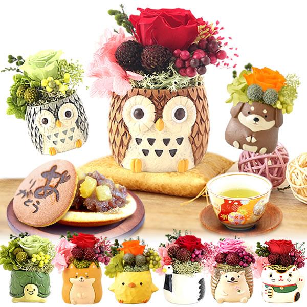 【おすすめ用途】誕生日 プレゼント 内祝い お祝い ギフト 和菓子 お菓子 スイーツ 洋菓子 バースデー ギフト プチギフト 贈り物 贈答 手土産 帰省土産 記念日 お祝い 内祝い 退職祝い お見舞い 快気祝い 出産祝い お供え 長寿祝い ...