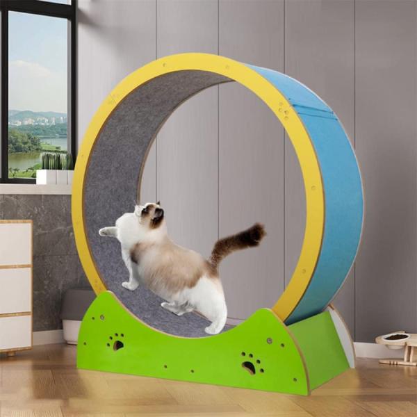キャットホイール 猫 猫用品 ランニング ホイールピンク 楽天市場】Ciaobot（チャオボット）キャットホイール 猫