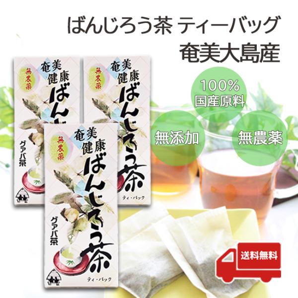 ばんじろう茶 無添加 無農薬 奄美大島産 国産グァバ茶 ティーバッグ12包入×3箱